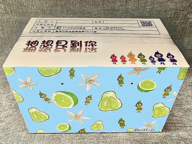 特級文旦 五斤