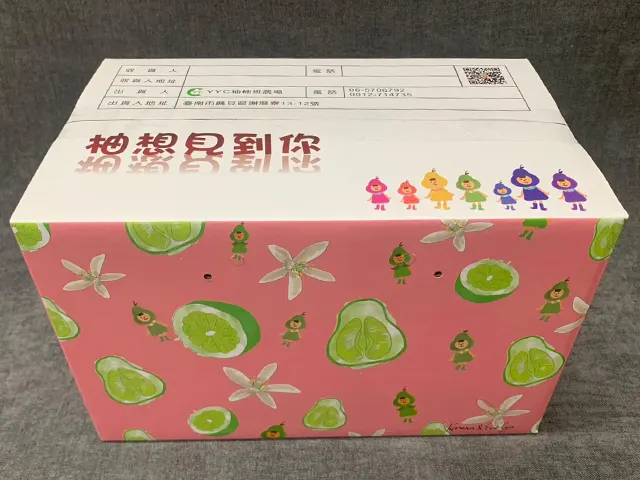 特級文旦 十斤